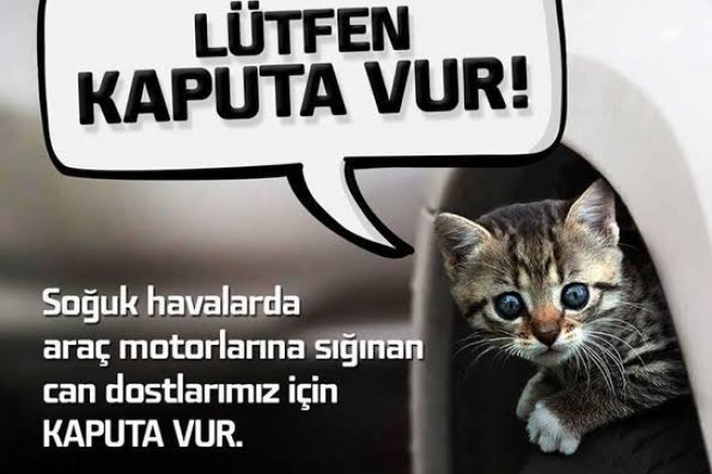 CAN DOSTLARIMIZI UNUTMAYALIM...