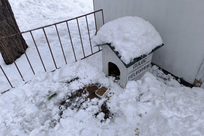 BELEDİYEMİZ MİNİK DOSTLARIMIZI UNUTMADI...