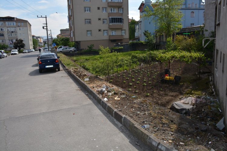 GÜLÜÇ GÜZELLEŞİYOR...