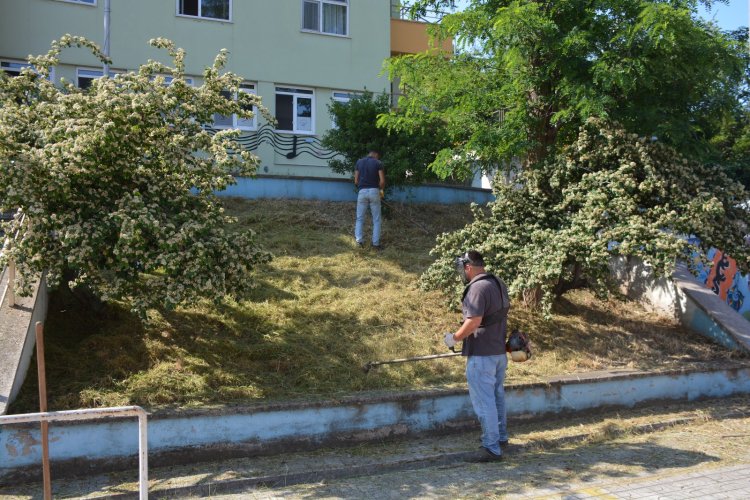 TEMİZLİK ÇALIŞMALARIMIZ DEVAM EDİYOR...