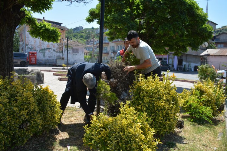 GÜLÜÇ GÜZELLEŞİYOR...