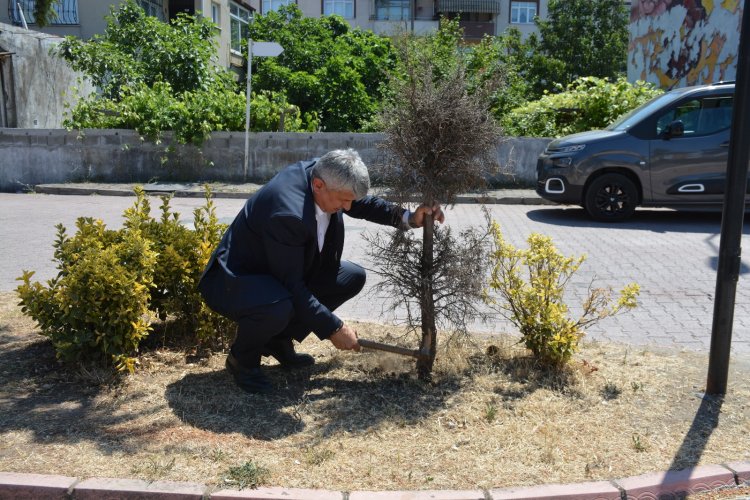 GÜLÜÇ GÜZELLEŞİYOR...