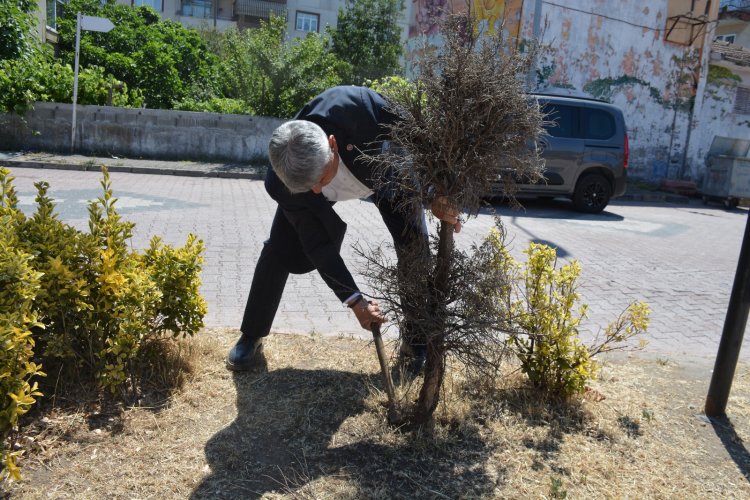 GÜLÜÇ GÜZELLEŞİYOR...