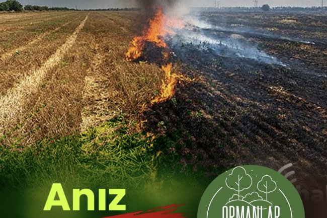 DOĞAMIZI KORUYALIM....