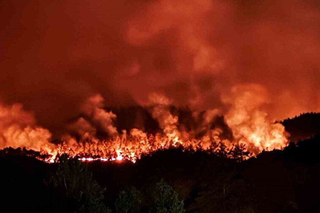 CİĞERLERİMİZ YANIYOR....