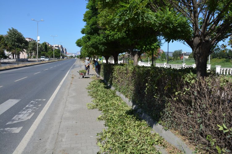 TEMİZ ÇEVRE, SAĞLIKLI GELECEK! 