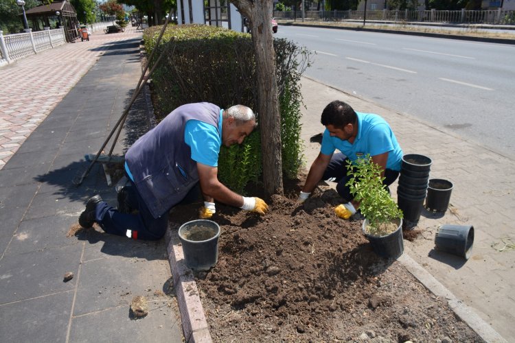 GÜLÜÇ’ÜN HER KÖŞESİ GÜZELLEŞİYOR! 