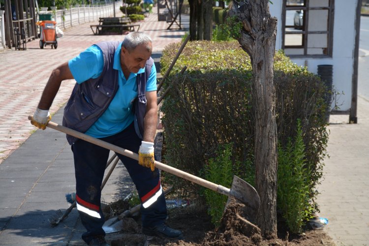GÜLÜÇ’ÜN HER KÖŞESİ GÜZELLEŞİYOR! 