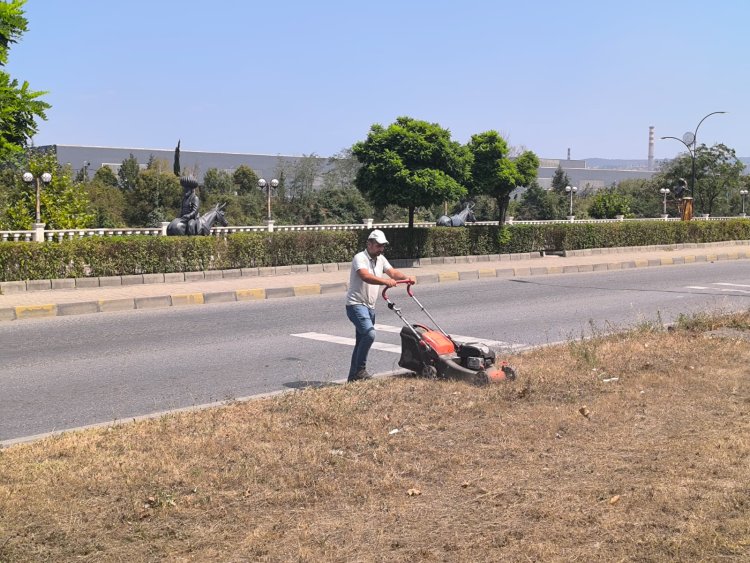 Tertemiz Bir Gülüç İçin Çalışıyoruz! 