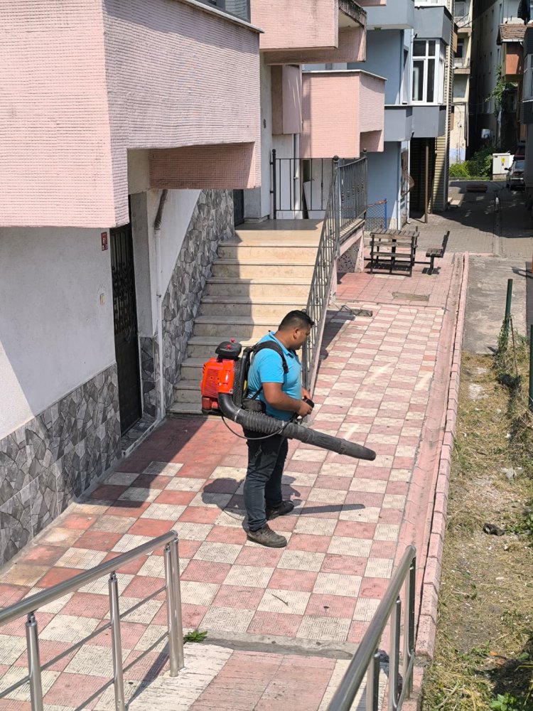 Tertemiz Bir Gülüç İçin Çalışıyoruz! 