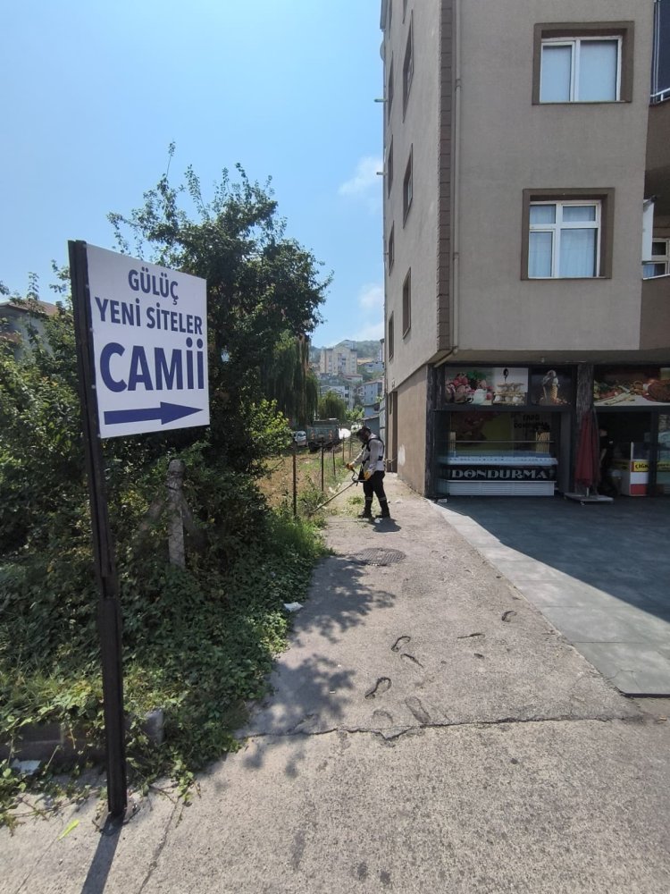 Tertemiz Bir Gülüç İçin Çalışıyoruz! 