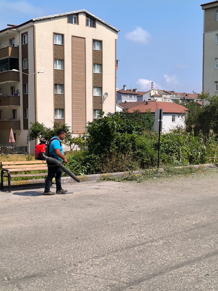Tertemiz Bir Gülüç İçin Çalışıyoruz! 