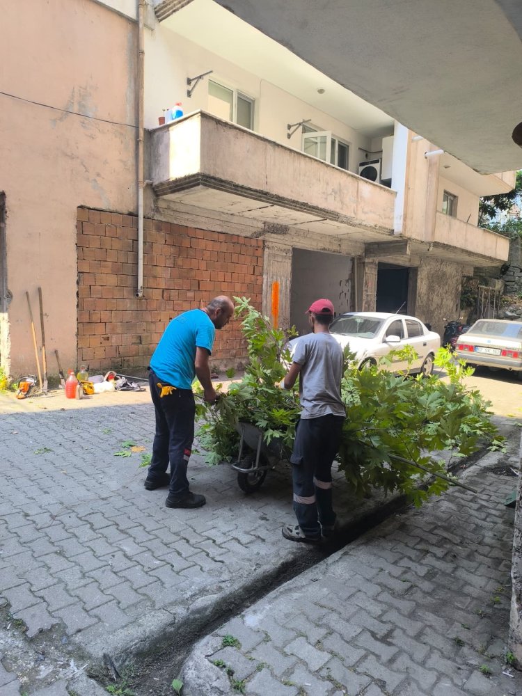 Tertemiz Bir Gülüç İçin Çalışıyoruz! 