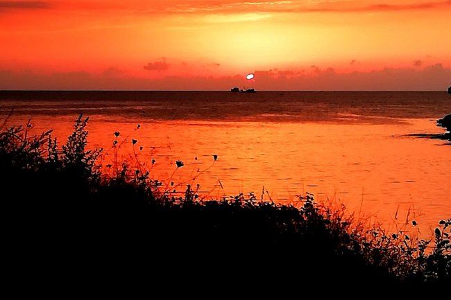 BİR EYLÜL AKŞAMINDAN...