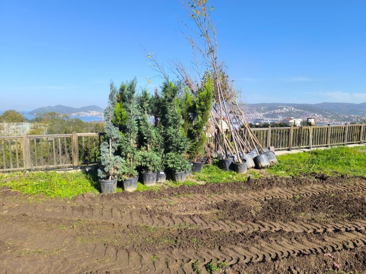 GÜLÜÇ BELEDİYESİ MİLLET BAHÇESİNDE İNCELEMELERDE BULUNDUK...