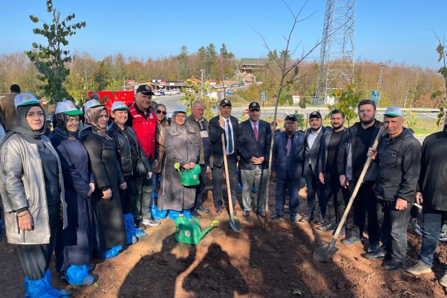 11 Kasım Milli Ağaçlandırma Günü – Geleceğimize Nefes Oluyoruz! 