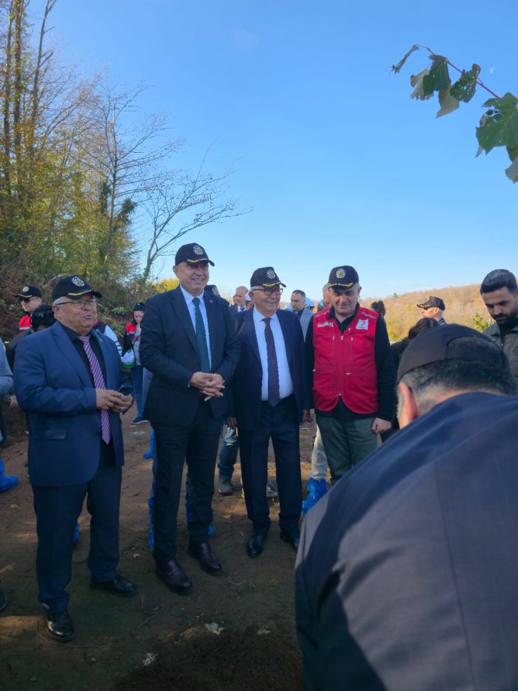 11 Kasım Milli Ağaçlandırma Günü – Geleceğimize Nefes Oluyoruz! 