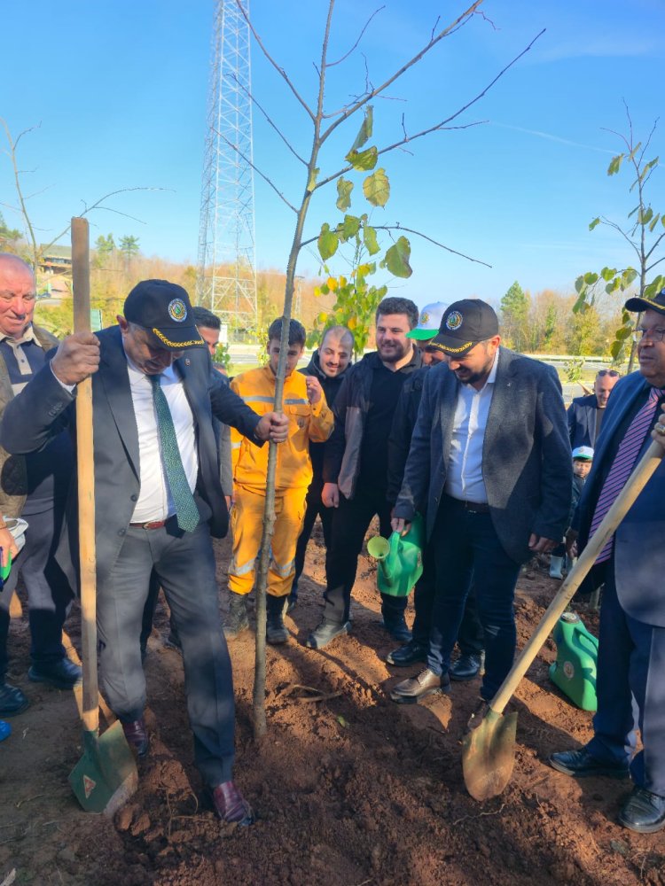 11 Kasım Milli Ağaçlandırma Günü – Geleceğimize Nefes Oluyoruz! 