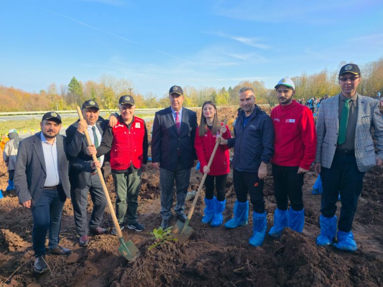 11 Kasım Milli Ağaçlandırma Günü – Geleceğimize Nefes Oluyoruz! 