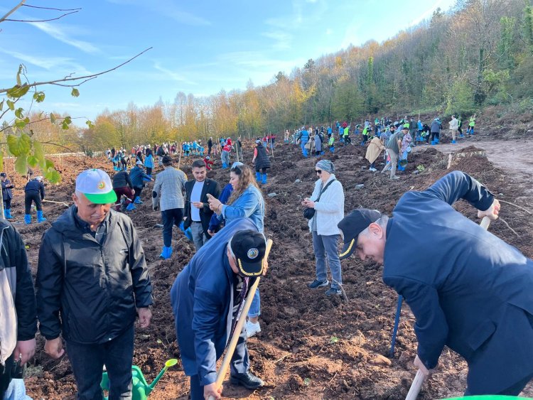 11 Kasım Milli Ağaçlandırma Günü – Geleceğimize Nefes Oluyoruz! 