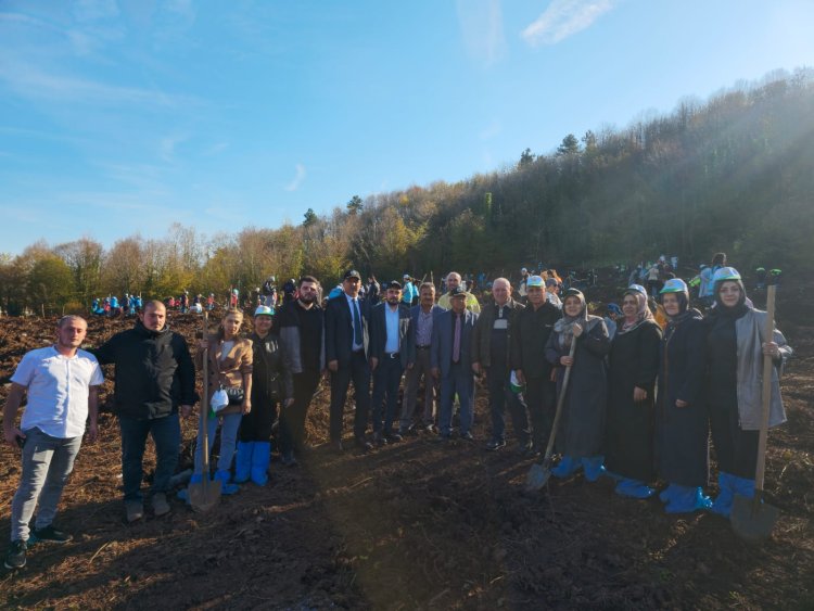 11 Kasım Milli Ağaçlandırma Günü – Geleceğimize Nefes Oluyoruz! 