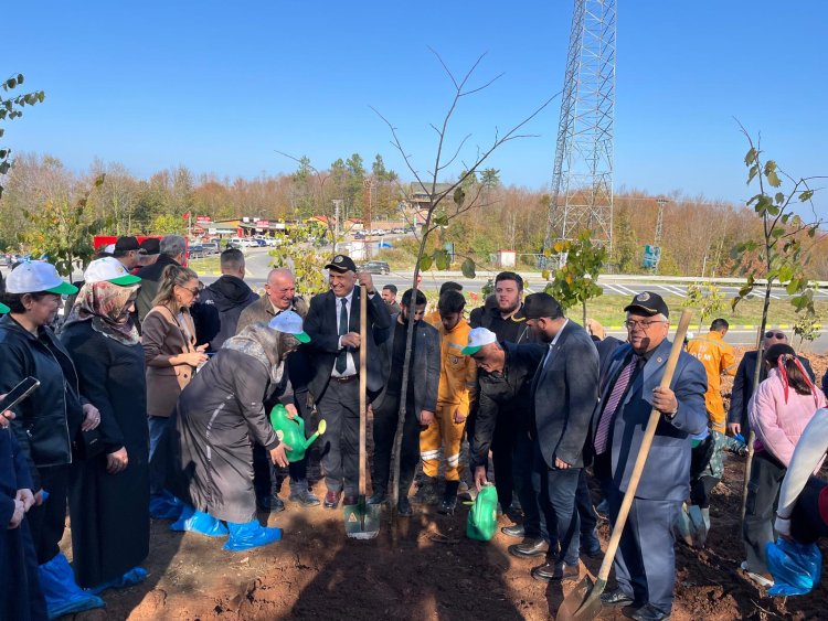 11 Kasım Milli Ağaçlandırma Günü – Geleceğimize Nefes Oluyoruz! 