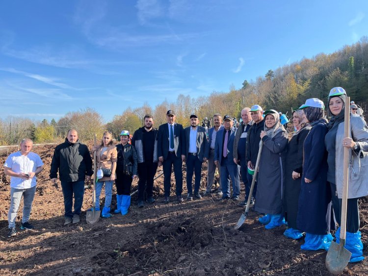 11 Kasım Milli Ağaçlandırma Günü – Geleceğimize Nefes Oluyoruz! 