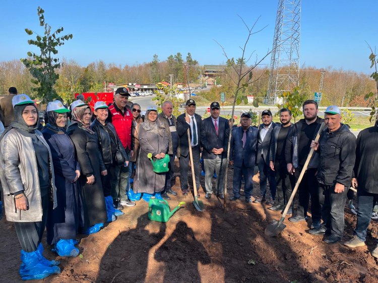 11 Kasım Milli Ağaçlandırma Günü – Geleceğimize Nefes Oluyoruz! 