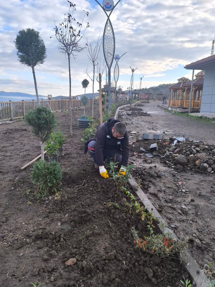 Gülüç Belediyesi Millet Bahçemizde çiçeklendirme ve peyzaj çalışmalarımız aralıksız devam ediyor.