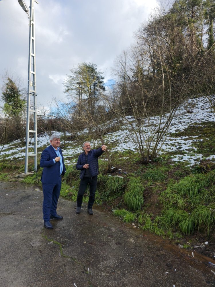Yeni Mezarlık Alanında Çalışmalarımız Devam ediyor...