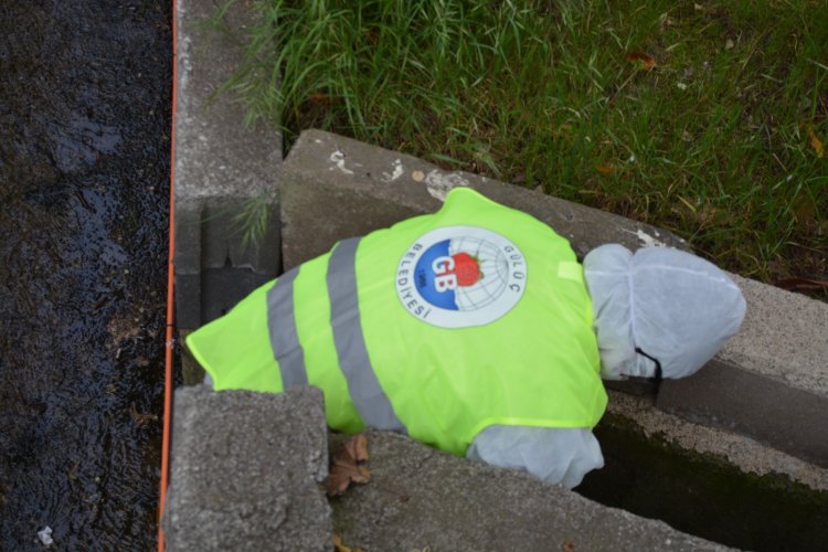 Beldemizde ilaçlama çalışmalarımız devam ediyor...