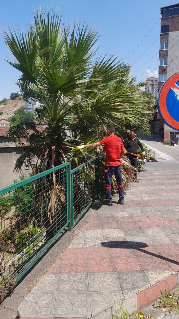 BELDEMİZDE MINTIKA VE KANAL TEMİZLİĞİ ÇALIŞMALARIMIZ DEVAM EDİYOR
