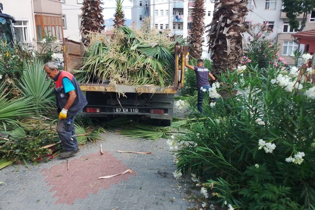 Beldemiz Genelinde Mıntıka Çalışmalarımız Aralıksız Devam Ediyor...