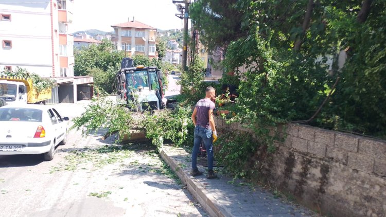 Beldemiz Genelinde Mıntıka Çalışmalarımız Aralıksız Devam Ediyor...