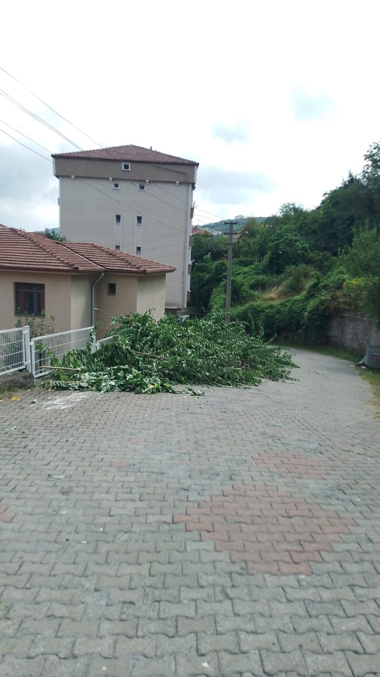 Beldemiz Genelinde Mıntıka Çalışmalarımız Aralıksız Devam Ediyor...