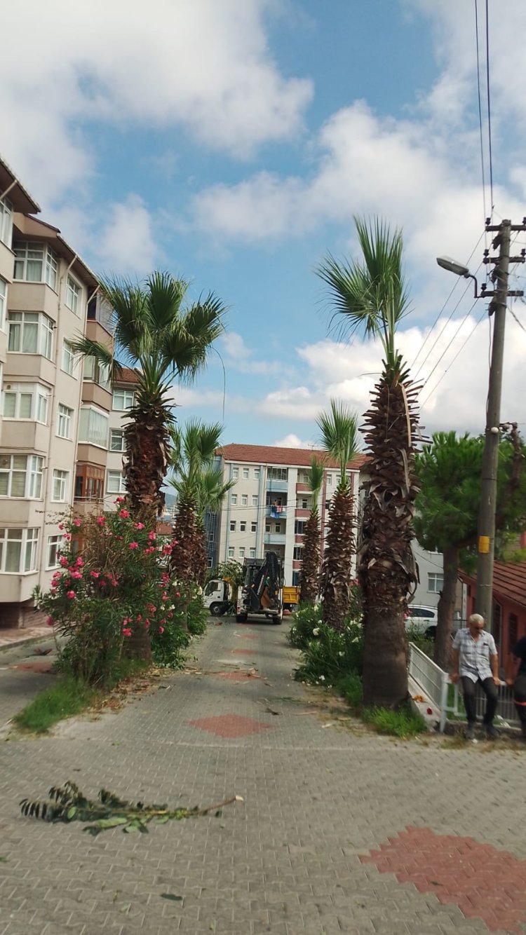 Beldemiz Genelinde Mıntıka Çalışmalarımız Aralıksız Devam Ediyor...