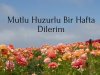 İYİ HAFTALAR GÜLÜÇ...