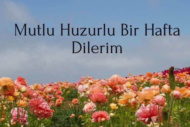 İYİ HAFTALAR GÜLÜÇ...