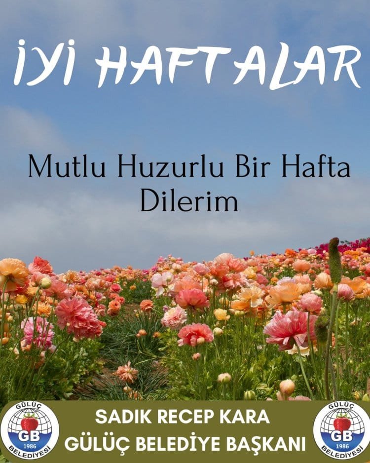 İYİ HAFTALAR GÜLÜÇ...